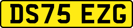 DS75EZG