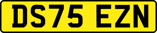 DS75EZN