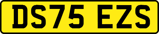 DS75EZS
