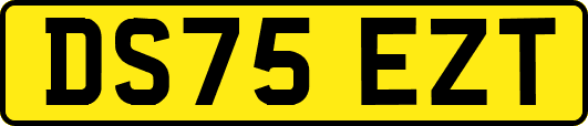 DS75EZT