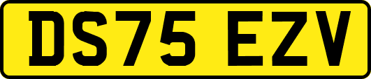 DS75EZV
