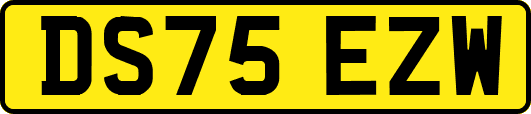 DS75EZW