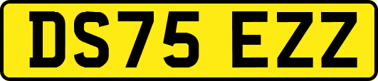 DS75EZZ