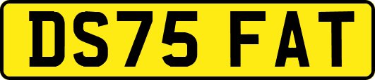 DS75FAT