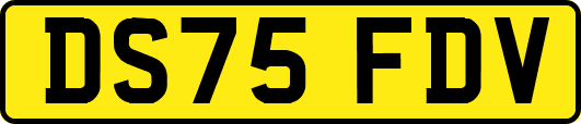 DS75FDV