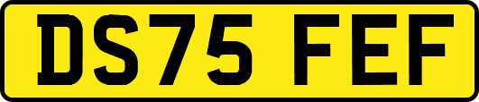 DS75FEF