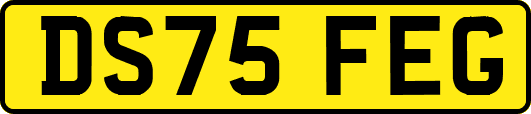 DS75FEG
