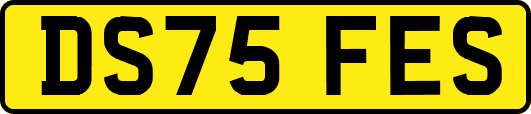 DS75FES