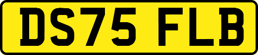 DS75FLB