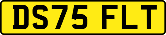DS75FLT