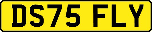 DS75FLY