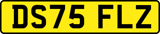 DS75FLZ