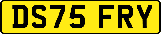 DS75FRY
