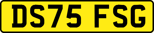 DS75FSG