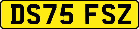DS75FSZ