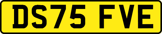 DS75FVE