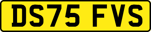 DS75FVS