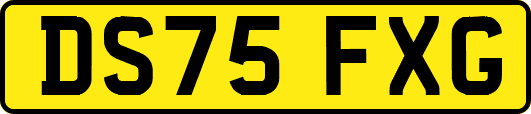 DS75FXG