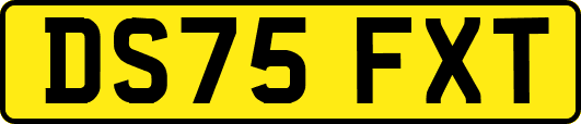 DS75FXT