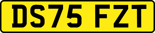 DS75FZT