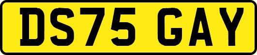 DS75GAY