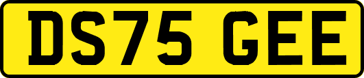 DS75GEE