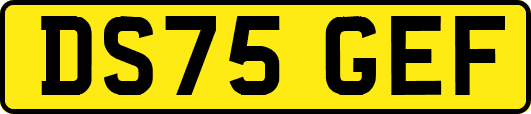 DS75GEF