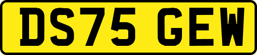 DS75GEW