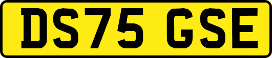 DS75GSE