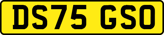 DS75GSO