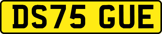 DS75GUE