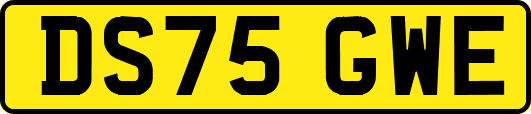 DS75GWE