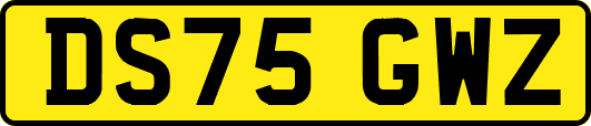 DS75GWZ