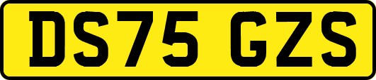 DS75GZS
