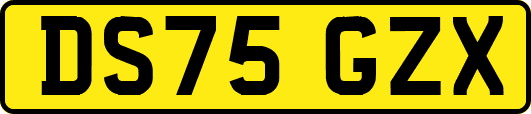 DS75GZX