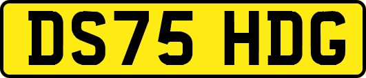 DS75HDG