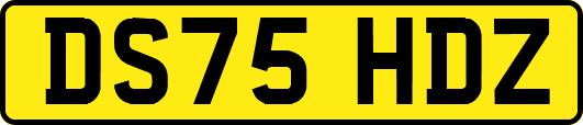 DS75HDZ