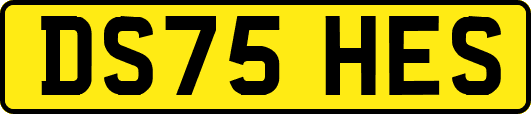 DS75HES