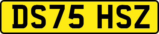 DS75HSZ