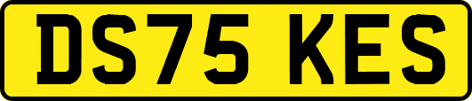 DS75KES