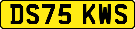 DS75KWS