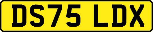 DS75LDX