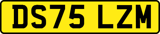 DS75LZM