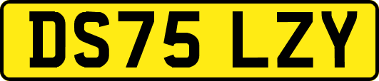DS75LZY