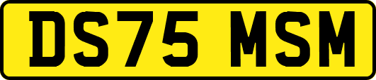 DS75MSM