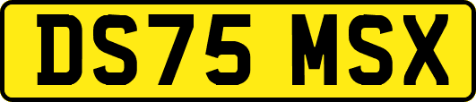 DS75MSX