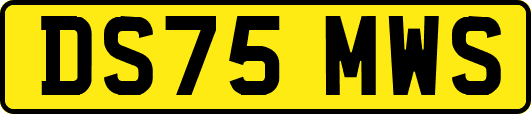 DS75MWS