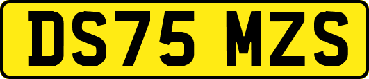 DS75MZS