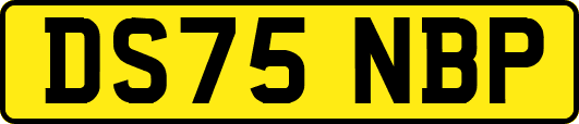DS75NBP