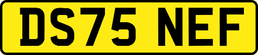 DS75NEF